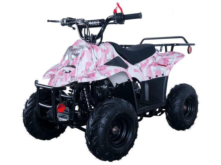 vt-hawk-110cc-atv-mississippi-06